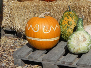 Space Man carved Pumpkin,  Nipomo Pumpkin Patch best carving idea